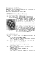 [자연과학] 전자 현미경 보고서-13