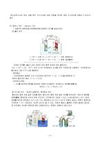 [자연과학] 화학전지 및 농도차 전지-6