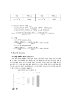 물리화학 보고서- Conjugation 염료의 흡수 스펙트럼-5