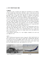 전환기러시아의이해-러시아의 항공우주산업-2