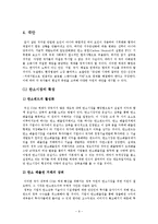 지구온난화로 인한 국제적 충돌의 해결 방안-9