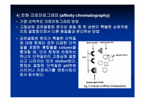 크로마토그래피에 관한 ppt-8