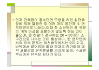 하천유량 측정 레포트-8