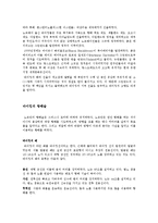 [사범교육] 서구문예사-바이킹족에 대해-4