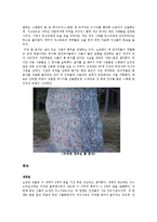 [사범교육] 서구문예사-바이킹족에 대해-6