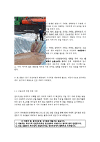 [사회과학] 구제역에 대한 이해와 대책-6