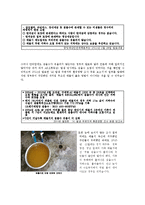 [사회과학] 구제역에 대한 이해와 대책-7