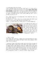 [사회과학] 구제역에 대한 이해와 대책-8
