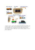 [사회과학] 구제역에 대한 이해와 대책-9