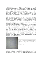 [사회과학] 이슬람세계[중세 이슬람 과학와 수학]-7