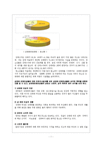 레포트-성매매 특별법-7