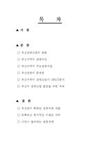 부산을 관광도시로 육성하기 위한방안-2