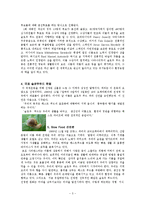 슬로우 푸드에 대해서-3