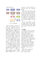 우리나라에서 사용중인 공인인증서 조사분석-4