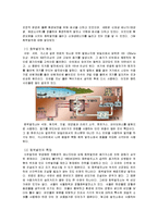 전기 발전의 종류-6