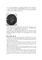 한국사의 이해 레포트-4