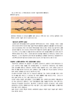 한국사의 이해 레포트-6