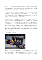 레드불 마케팅사례분석과 레드불 국내시장 실패요인분석 및 레드불 실패극복위한 새로운 마케팅전략제안-10