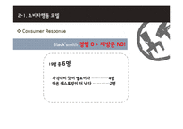 black smith 블랙스미스 마케팅전략분석과 블랙스미스 소비자행동모델분석과 블랙스미스 마케팅발전방향-17