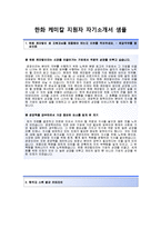 [한화케미칼자기소개서]한화케미칼(경영관리)자소서+[면접기출문제]_한화케미칼공채자기소개서_한화케미칼채용자소서_한화케미칼합격자기소개서_한화케미칼자소서항목-2