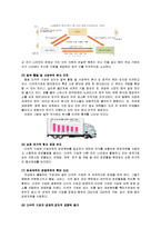 [다국적기업] 다국적 기업의 정의, 다국적 기업의 등장, 다국적기업 발전-5