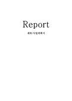 동남아 음식 요리 사업계획서 및 창업계획서-1