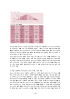 [한일 전기전자 산업의 전망] 한국과 일본의 전기, 전자산업의 특징과 상품, 경쟁력 분석, 양국간 제휴사례, 한일 전기전자산업의 전망-13
