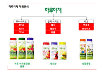 한국야쿠르트 하루야채 마케팅전략분석과 소비자행동분석및 하루야채 마케팅전략 제언-8