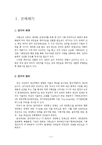 참여정부의 재정혁신 정책의 내용, 특징, 효과, 문제점, 개선방안, 느낀점 등등-2