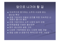 [국제마케팅] 진로의 해외진출사례-18