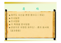 [지역축제] 제주도축제기획안-2