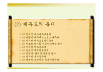 [지역축제] 제주도축제기획안-4