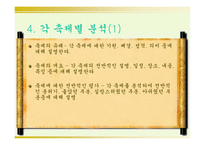 [지역축제] 제주도축제기획안-7