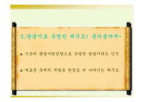 [지역축제] 제주도축제기획안-9