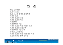 dmb에 대해서 레포트-2