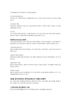[비교행정론] 프랑스의 행정과 관료제-16