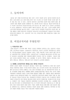 [사회학] 비정규직문제-3