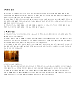 [지방축제] 2004코엑스루미페스티벌-3