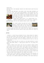 [지방축제] 광명시구름산예술제-4