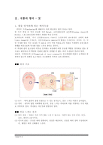 [식품화학] Maillard반응과 식품의 향미-4