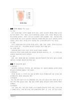 [식품화학] Maillard반응과 식품의 향미-5