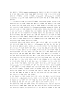 흡연의 유해성 레포트-11