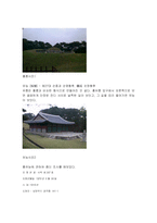 홍유능 답사보고서-2