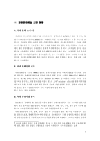 [국제마케팅]「난타」의 글로벌마케팅전략-5