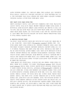 신자본주의에 대하여-4