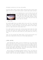 [한국미술사]한국 미술사-4