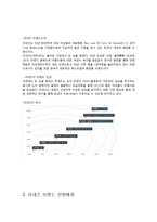 아모레퍼시픽 라네즈 해외진출 마케팅 SWOT,STP,4P전략분석과 라네즈 향후 시사점분석-4