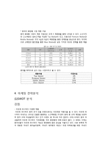 아모레퍼시픽 라네즈 해외진출 마케팅 SWOT,STP,4P전략분석과 라네즈 향후 시사점분석-12
