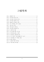 해브앤비 기업전략분석및 해외진출 성공요인분석과 문제점 극복전략제안-3