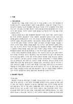 해브앤비 기업전략분석및 해외진출 성공요인분석과 문제점 극복전략제안-4